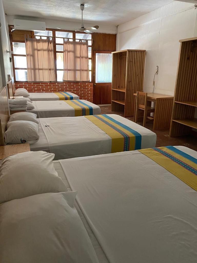 Hotel Bungalows Acuario Puerto Escondido  Extérieur photo